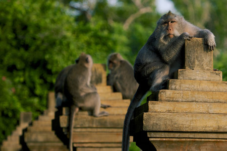 indonesia