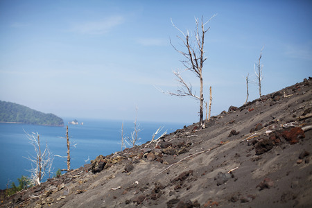 indonesiaの写真素材