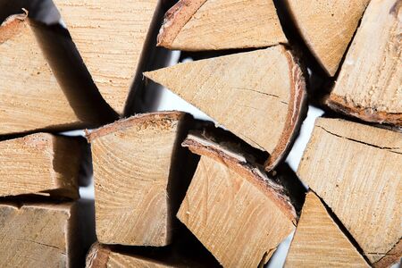 Birch Fire wood isolated on whiteの写真素材