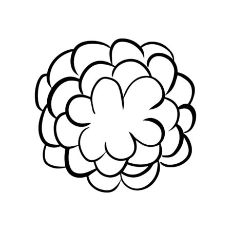 Flower doodle, cartoon, hand draw, isolated on a white background for packaging design, print on fabric, card, postcard, notebook, notepad, wallpaper. Bio, organic, natural. For cosmetics. Vector.のイラスト素材