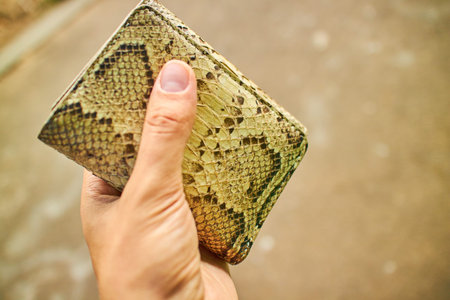 purse in a female hand