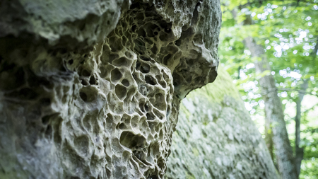 Large rock stone texture in forestの写真素材