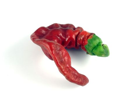 Brilliant star chile pepperの写真素材