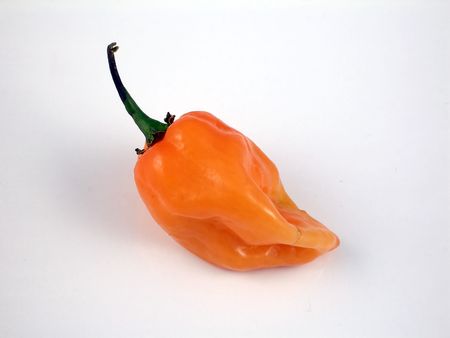 Habanero chili pepperの写真素材