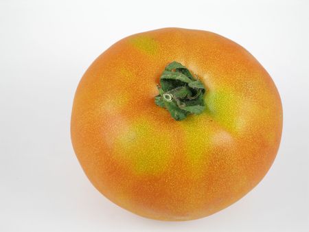 Not-quite-ripe tomatoの写真素材