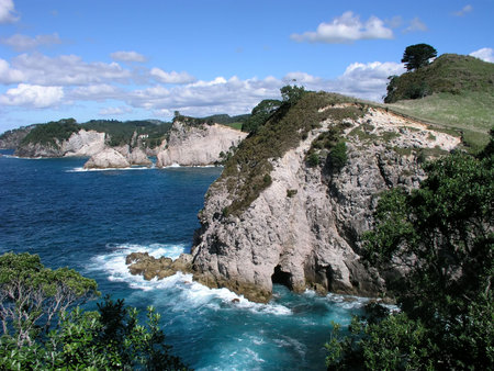 Coastal cliffs, Bay of Plenty, Coromandel Peninsula, North Island, New Zealandの写真素材