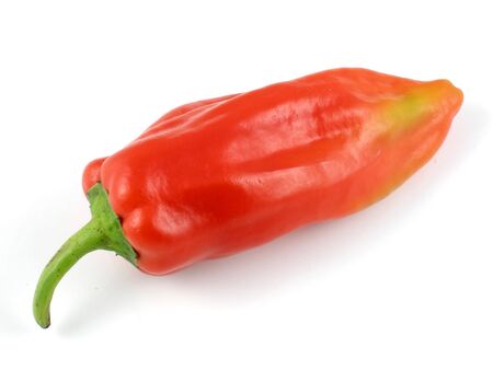 Red Italian heirloom pepperの写真素材