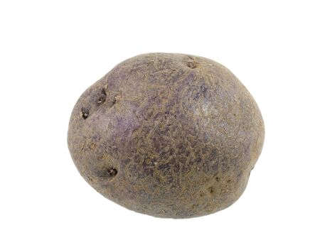 Miniature blue potatoの写真素材
