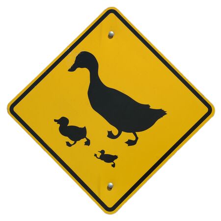 Duck Crossing signの写真素材