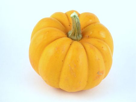 Miniature pumpkinの写真素材