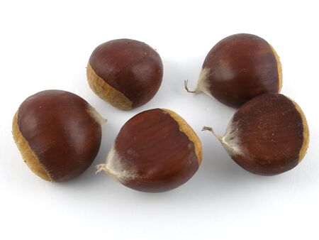 Raw chestnutsの写真素材