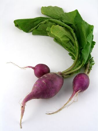 Purple radishesの写真素材