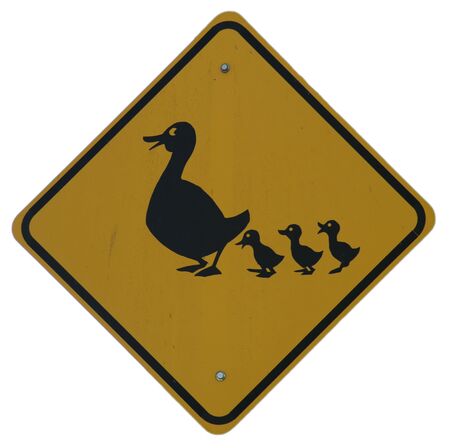 Duck Crossing graphicの写真素材