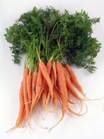 A bunch of raw carrotsの写真素材