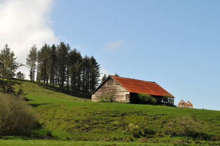 Old barn on a hill near Ferndale, California