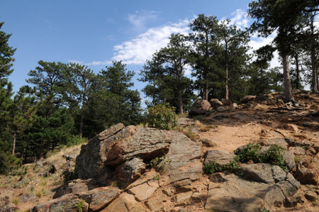 Forested mountain lookout, Denver, Coloradoの写真素材