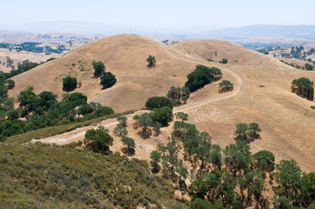 Dirt road around a tall hill, Mount Diablo State Park, Clayton, Californiaの写真素材