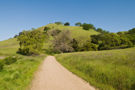 Walking trail, Lake Del Valle Regional Park, Livermore, Californiaの写真素材