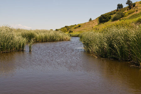Marshlands, Coyote Hills Regional Park, Fremont, California