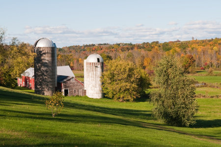 Autumn colors on the farm, Shelburne, Vermontの写真素材