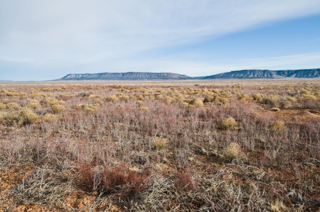 Field and mountains near Peach Springs, Arizonaの写真素材