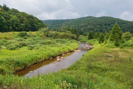Shavers Fork of the Cheat River at the former townsite of Spruce, West Virginiaの写真素材