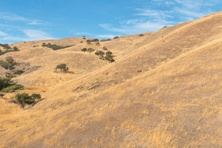 Dry brown hills along Pacheco Pass near Los Banos, Californiaの写真素材