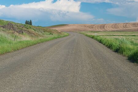 Gravel road through fields of wheat, Oakesdale, Washingtonの写真素材