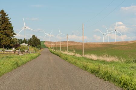 Gravel road through rolling hills of rural Thornton, Washingtonの写真素材