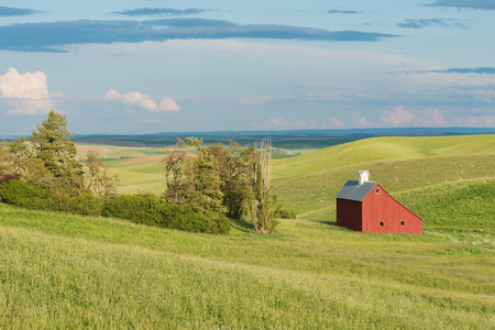 Barn and wheat fields at dusk, Moscow, Idahoの写真素材