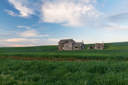 Abandoned house and wheat fields at dusk, Colton, Washingtonの写真素材