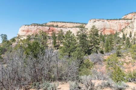 Sandstone mountains, Zion National Park, Utahの写真素材