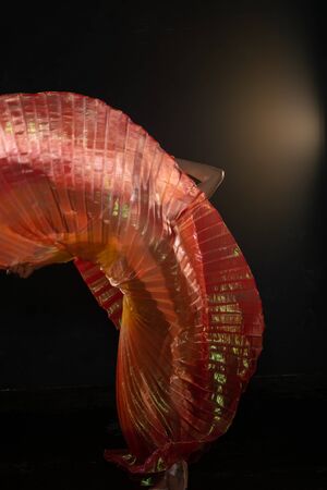 Beautiful slender blonde woman waving bright translucent wingsの写真素材