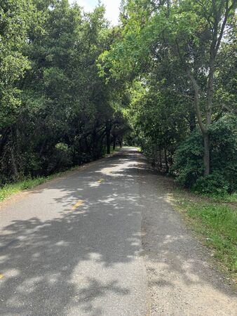 Stevens Creek Trail through suburban wilderness, Mountain View, California