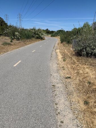 Stevens Creek Trail through suburban wilderness, Mountain View, Californiaの写真素材