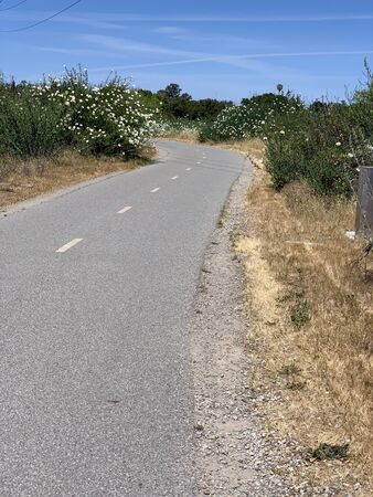 Stevens Creek Trail through suburban wilderness, Mountain View, Californiaの写真素材