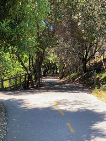 Stevens Creek Trail through suburban wilderness, Mountain View, Californiaの写真素材