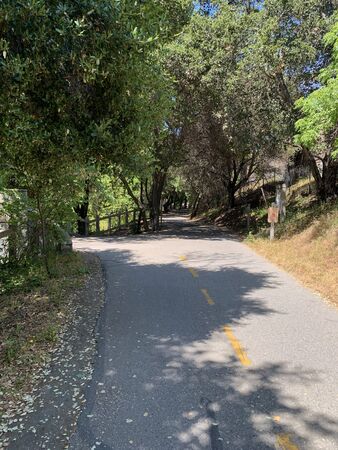 Stevens Creek Trail through suburban wilderness, Mountain View, Californiaの写真素材
