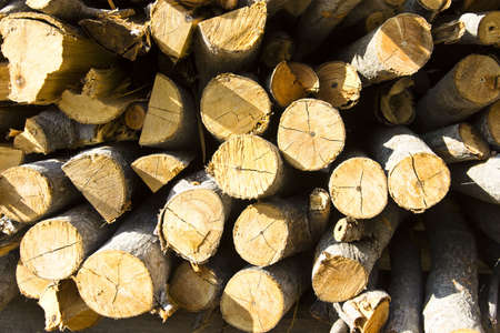 A pile of fire woodの写真素材