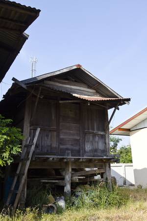 Thailand Dec 2011: The riceのeditorial素材
