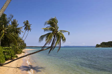 The long beach with coconut tree at Koh Mak, Trad, Thailandの写真素材