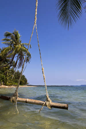 The swing hanging on the coconut tree over the beach at  Trat, Thailand の写真素材