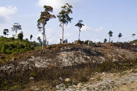 no tree in mountains, Myanmarの写真素材