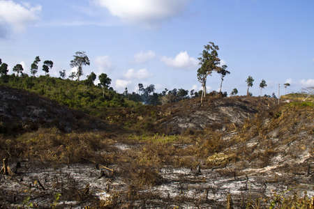 no tree in mountains, Myanmarの写真素材