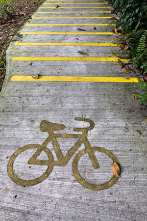 bicycle lane on the streetの写真素材