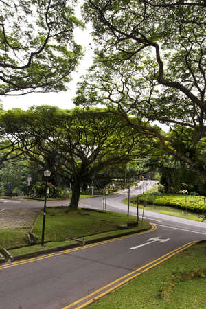 Street on the Mount Faber park, Singaporeの写真素材