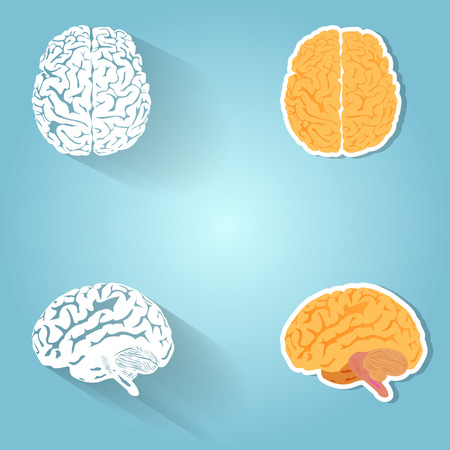 Set of the human brain, design elements and icons.のイラスト素材