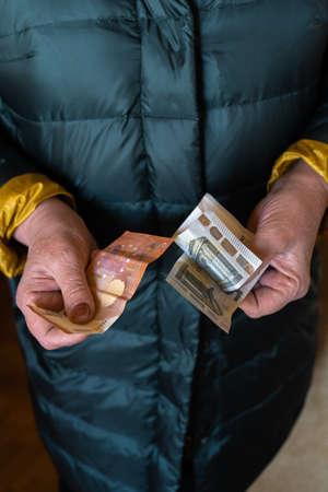Older senior woman holds EURO banknotes - Eastern European salary pension