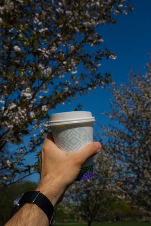 Hand with paper cup of coffee - Colorful sakura cherry blossom in a park in Riga, Eastern European capital city of Latvia - Pink and magenta colors during a sunsetの写真素材