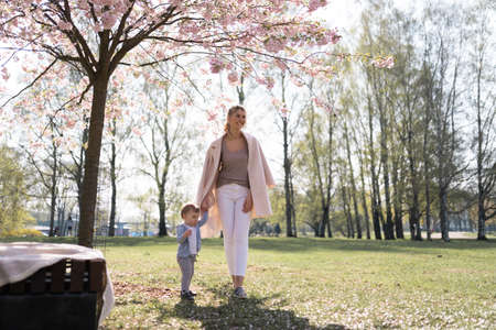 Young mother walking with her baby boy child son in a park under Sakura treesの写真素材